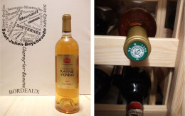 Château De Rayne Vigneau 2009 - Sauternes - 1er Grand Cru Classé - 1 X 75 Cl - Liquoreux - Vin