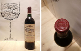Château Chasse-Spleen 1996 - Moulis - 1 X 75 Cl - Rouge - Wein