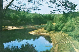 Lommel - Kattenbos - Kamping Zwemmen Speeltuin Wandelingen "Blauwe Meer" - Limbourg