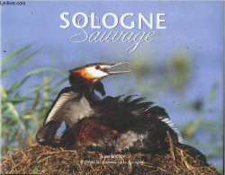 Sologne Sauvage - Alain Beignet - 2004 - Pays De Loire