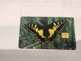 HUNGARY-(HU-P-2004-10)-Sparrow-tailed Butterfly-(71)(800Ft)(341056AE4)(tirage-30.000)-used,card+1card Prepiad Free - Ungarn