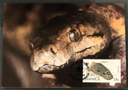 Jamaica: Maximum, Boa Giamaicano, Jamaican Boa, Boa Jamaïcain, (Epicrates Subflaus) - Cartes-maximum