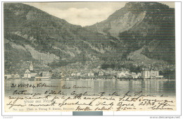 Gruss Aus VITZNAU - 1904 -  Bayern - Vitznau