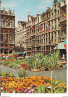 BRUXELLES - GRAND PLACE,1970,TIMBRO POSTE TARGHETTA " PROTEGEONS NOS DERNIERS ESPACES...............,VARESE - Covers & Documents