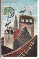 STRASSBURG - STORCHENNEST - POSTE  NIEDERRODERN,1910,FRANCOBOLLO DEUTSCHES REICH,sehr Interessant,RR - St. Veit An Der Glan