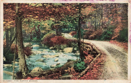 ETATS-UNIS - The North Woods- Colorisé - Carte Postale - Sonstige & Ohne Zuordnung