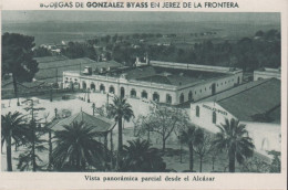 1930. ESPANA. Fine Postcard With Sherry Motive. BODEGAS DE GONZALEZ BYASS EN JEREZ DE LA FRONTERA. Vista P... - JF445045 - Andere & Zonder Classificatie