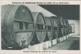 1930. ESPANA. Fine Postcard With Sherry Motive. BODEGAS DE GONZALEZ BYASS EN JEREZ DE LA FRONTERA. Toneles... - JF445048 - Autres & Non Classés
