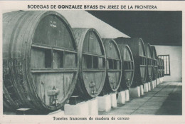 1930. ESPANA. Fine Postcard With Sherry Motive. BODEGAS DE GONZALEZ BYASS EN JEREZ DE LA FRONTERA. Toneles... - JF445048 - Altri & Non Classificati