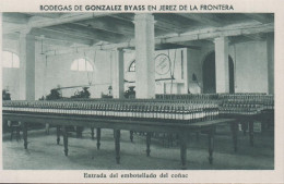 1930. ESPANA. Fine Postcard With Sherry Motive. BODEGAS DE GONZALEZ BYASS EN JEREZ DE LA FRONTERA. Entrada... - JF445057 - Altri & Non Classificati