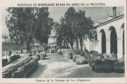 1930. ESPANA. Fine Postcard With Sherry Motive. BODEGAS DE GONZALEZ BYASS EN JEREZ DE LA FRONTERA. Galeria... - JF445069 - Otros & Sin Clasificación