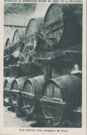 1930. ESPANA. Fine Postcard With Sherry Motive. BODEGAS DE GONZALEZ BYASS EN JEREZ DE LA FRONTERA. Los Ton... - JF445073 - Other & Unclassified