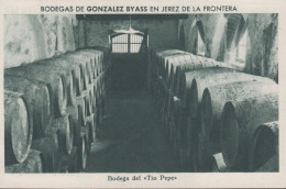 1930. ESPANA. Fine Postcard With Sherry Motive. BODEGAS DE GONZALEZ BYASS EN JEREZ DE LA FRONTERA. Bodega ... - JF445080 - Autres & Non Classés