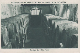 1930. ESPANA. Fine Postcard With Sherry Motive. BODEGAS DE GONZALEZ BYASS EN JEREZ DE LA FRONTERA. Bodega ... - JF445080 - Otros & Sin Clasificación