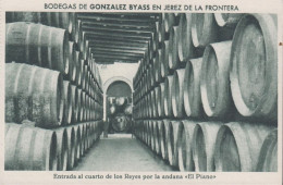 1930. ESPANA. Fine Postcard With Sherry Motive. BODEGAS DE GONZALEZ BYASS EN JEREZ DE LA FRONTERA. Entrada... - JF445081 - Sonstige & Ohne Zuordnung