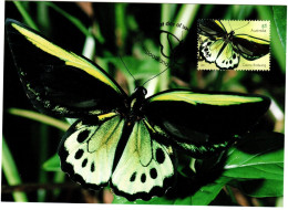 Australia 2016  Butterfly,Cairns Birdwing ,maximum Card - Cartas Máxima