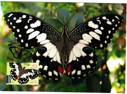 Australia 2016  Butterfly,Chequered Swallowtail ,maximum Card - Maximum Cards