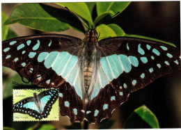 Australia 2016  Butterfly,Pale Triangle ,maximum Card - Maximum Cards