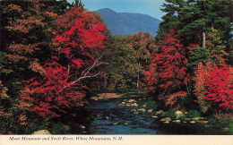 ETATS-UNIS - New Hampshire - White Mountains - Moat Mountain And Swift River - Conway - Colorisé - Carte Postale - White Mountains