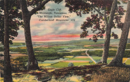 ETATS-UNIS - Cumberland Mountains - Monteagle - Tennessee - The Million Dollar View - Colorisé - Carte Postale - Autres & Non Classés
