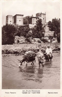 MAROC - Atlas Marocain - Casbah Sur L'oued Draâ - Ânes - Carte Postale Ancienne - Otros & Sin Clasificación