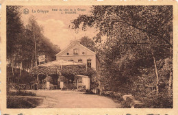 BELGIQUE - La Gileppe - Hôtel Du Lion - J Thibert - Carte Postale Ancienne - Sonstige & Ohne Zuordnung