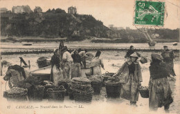 Cancale * Le Travail Sur Les Parcs à Huîtres * Ostréiculture - Cancale