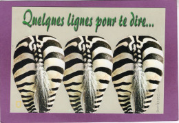 Humour  Animaux Humoristiques Illustrateur Signé DOMENEC  ZEBRES  Quelques Lignes Pour Te Dire  ... - Zebre