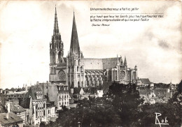 FRANCE - Chartres - Cathédrale - Côté Sud - Carte Postale Ancienne - Chartres