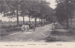 SCHILDE 1907 DE MACADAM EZELKAR ATTELAGE MENSEN - MOOIE ANIMATIE - HOELEN KAPELLEN 1839 - Schilde