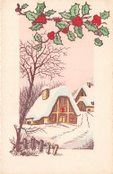 ILLUSTRATEUR - Maison - La Neige - Colorisé - Carte Postale Ancienne - Non Classés