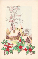 ILLUSTRATEUR - Maison - La Neige - Colorisé - Carte Postale Ancienne - Zonder Classificatie