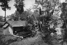 Neuvy Sur Barangeon * Vue Sur Le Lavoir Et Le Barangeon * Laveuse - Andere & Zonder Classificatie