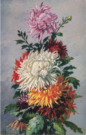 PEINTURES - TABLEAUX - Les Plus Belles Fleurs - Chrysanthèmes - Colorisé - Carte Postale Ancienne - Peintures & Tableaux