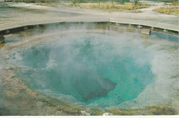 Morning Glory Pool, Yellowstone National Park, Wyoming - Yellowstone