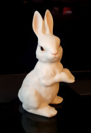 HASE Rosenthal Classic Skulptur Weiss - Perfekt - Augen Ohren Nase Farbig - Altri & Non Classificati