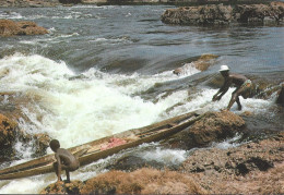 Ref ( 14595 )   Maroni - Le Saut Poligoudou - Saint Laurent Du Maroni