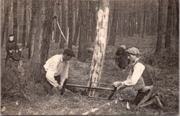 CPA  -SELECTION -  DESVRES -  L'Abattage Des Sapins - Desvres