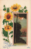 ILLUSTRATEUR - Gage D'affection - Tournesols - Paysage - Colorisé - Carte Postale Ancienne - Unclassified