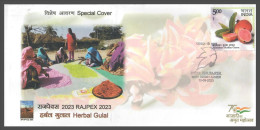 India 2023 Holi Festival, Krishna, Radha, Hindu Reglion, Gulal ,Colour, Flower, Special Cover (**) Inde Indien - Cartas & Documentos