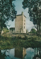 Lesparre    La Tour De L Honneur - Lesparre Medoc