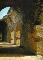 Delcampe - France Frejus (Var) Les Arenes - Frejus