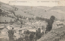 Pierrefort * Vue Générale Du Village - Autres & Non Classés