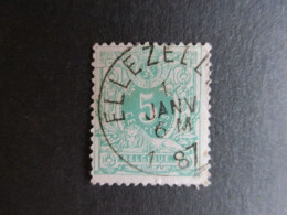 Nr 45 - Centrale Stempel "Ellezelles" - Coba + 4 - 1869-1888 Leone Coricato