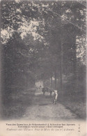 SCHOTEN SCHOOTENHOF 1926  WERVINGSKAART BOUWGROND TE KOOP - KOEIEN - HOELEN KAPELLEN ONGENUMMERD - Schoten