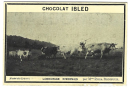 Chromo Image  Chocolat  Ibled  Mondicourt  62   - Labourage Nivernais Par Mme Rosa Bonheur - Ibled