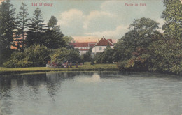 D8422) BAD DRIBURG - Partie Im Park - Alt !! 1911 - Bad Driburg