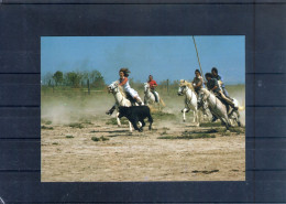 Camargue. Ferrade. Carte Moderne - Tauri