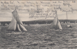 D8423) WANNSEE - Berlin - Segelboote ALT 1911 - Wannsee