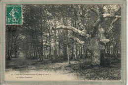 CPA (37) CLERé - Thème: ARBRE - Aspect Du Chêne Pommier En 1910 - Sur Les Terres De Champchevrier - Cléré-les-Pins